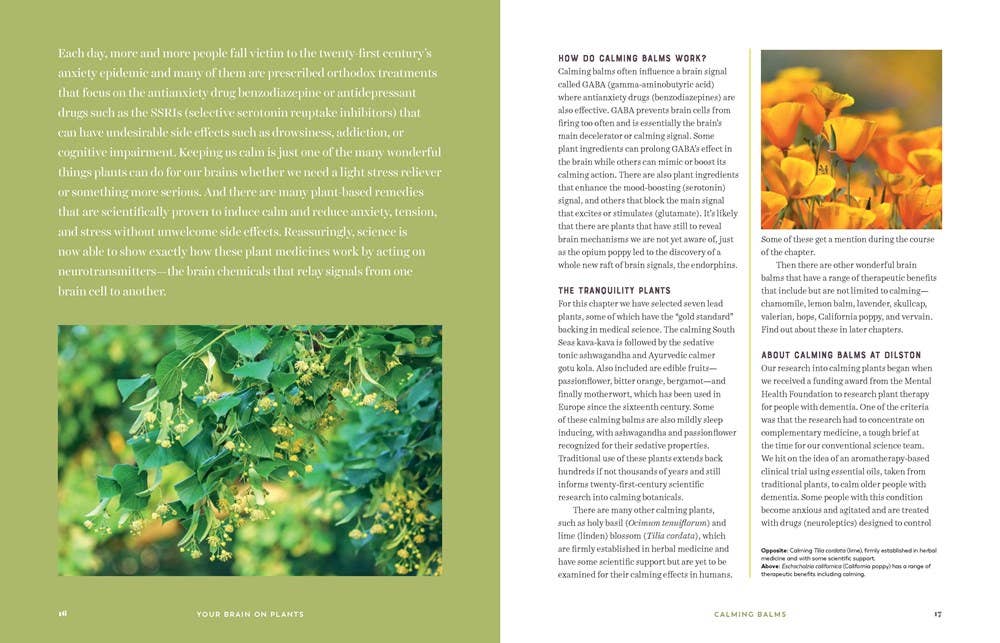 Your Brain on Plants: Improve the Way You Think and Feel