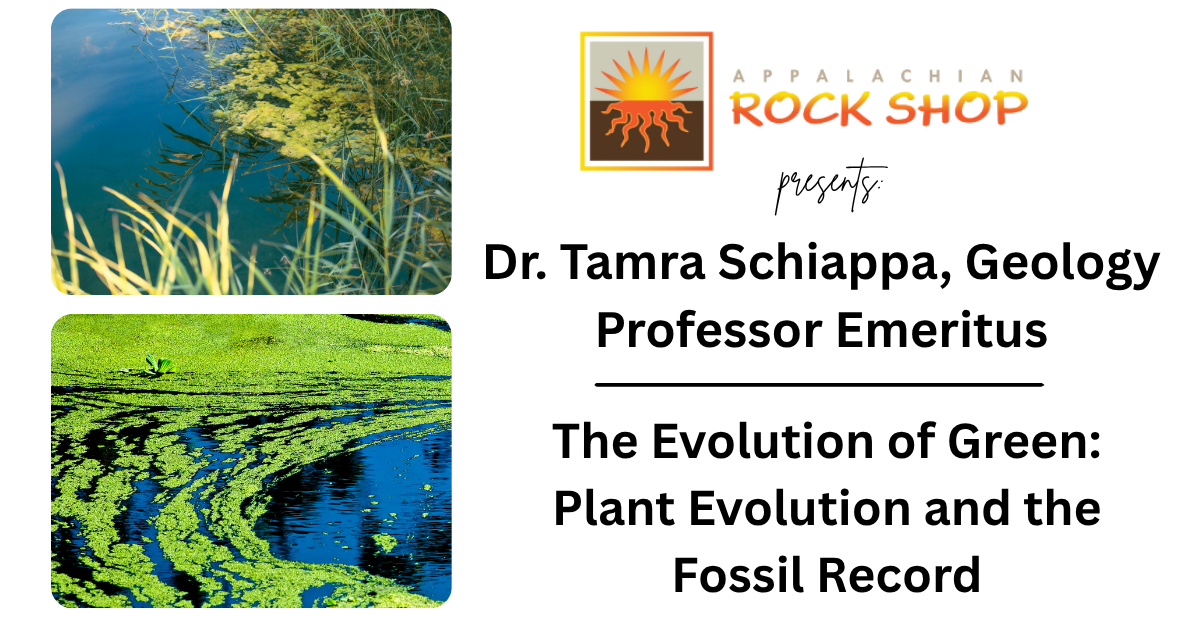 The Evolution of Green: Plant Evolution and the Fossil Record