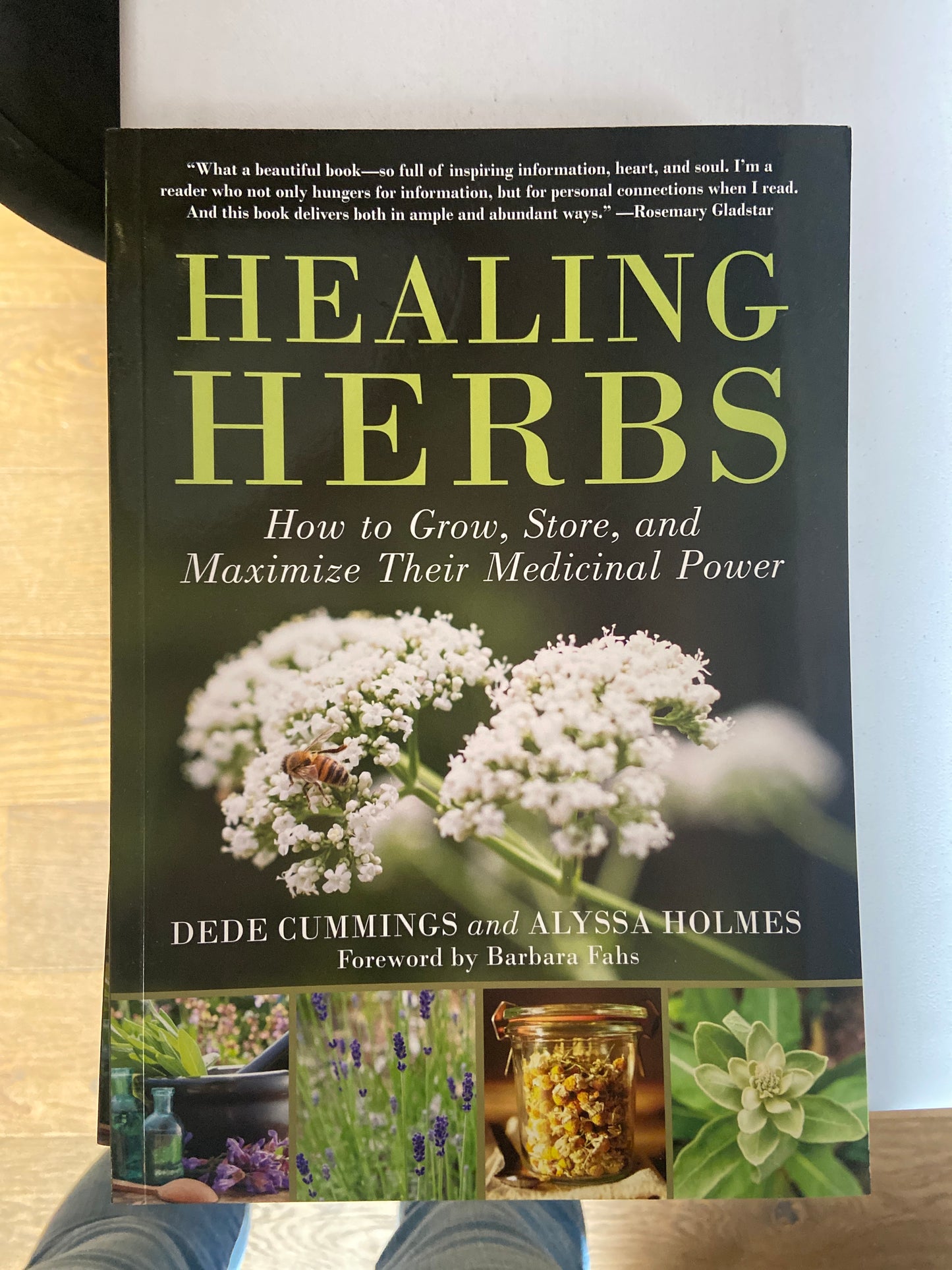 Healing Herbs by Dede Cummings