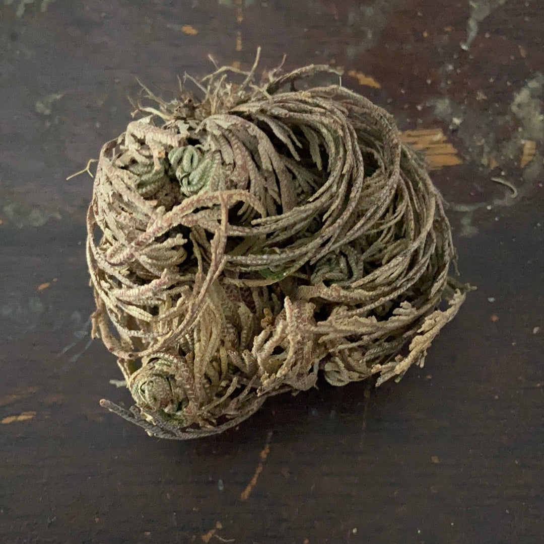 Herb Bundles